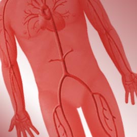 Filing an SSI Claim for Peripheral Vascular Disease