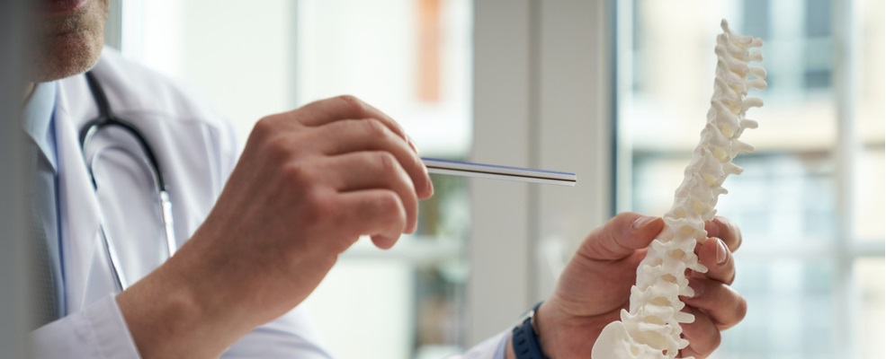 doctor discussing the spinal cord parts to a patient