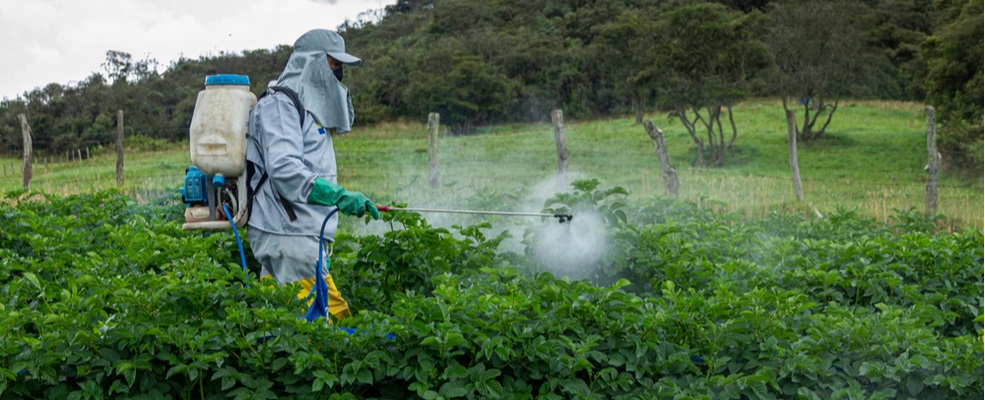 farmer spraying pesticides in plants