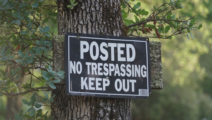no trespassing sign posted in a old tree