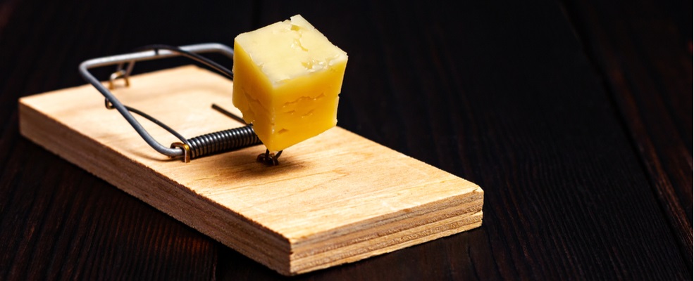 mouse trap with a cheese