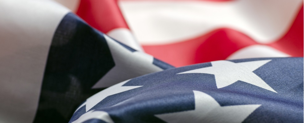 the united states flag